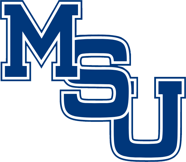 Memphis Tigers 1979-1993 Alternate Logo iron on transfers for T-shirts